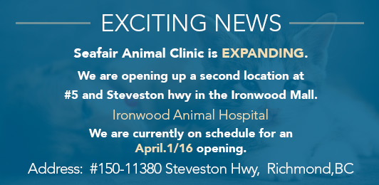 Seafair Animal Clinic